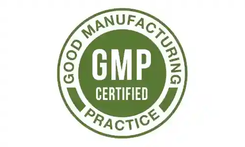 VigoSurge GMP Certified VigoSurge GMP Certified